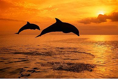 《卧龙：苍天陨落》销量突破100万 即将推出3款DLC