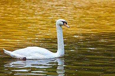 复古FPS新作《术士计划2》登陆Steam抢先体验平台